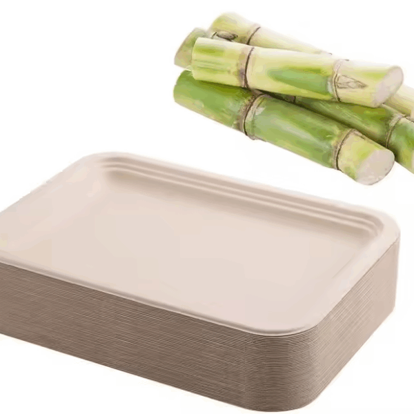 8‘’ 9‘’ 10" inch Custom Service 100% Compostable Sugarcane Bagasse Serving Plate