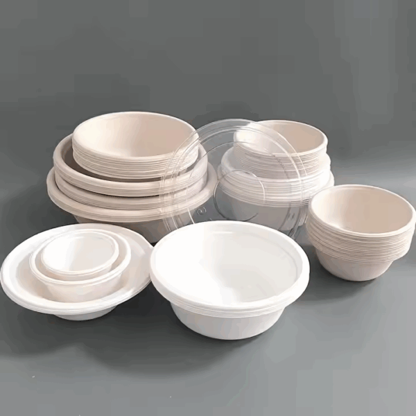 12oz 18oz Biodegradable Salad Bowl Compostable Bagasse Sugarcane Food Container with Lid