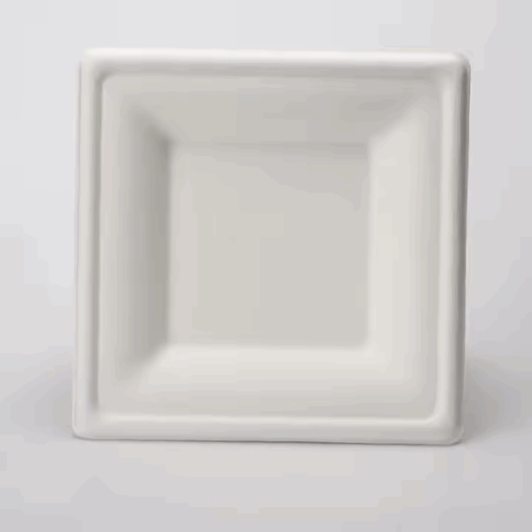 6" 7 inch Square Compostable Bagasse Sugarcane Plate