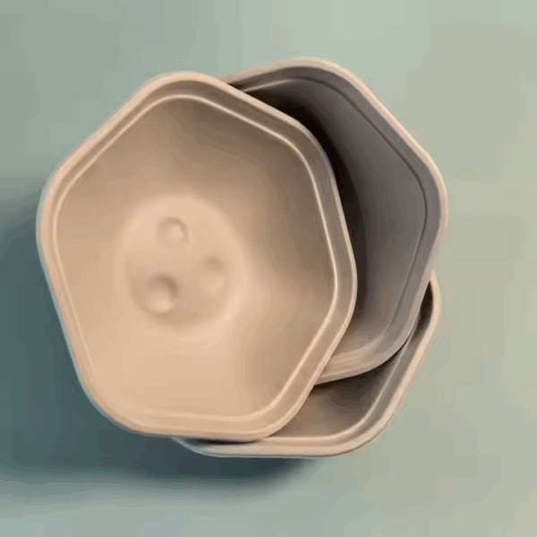 Biodegradable 500ML Hexagonal Salad Bowl Compostable Bagasse Sugarcane Round Food Container