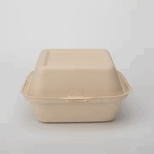 2 Compartment Clamshell 450ML Take Out Food Containers Compostable Disposable Clamshell Bagasse To Go Boxes
