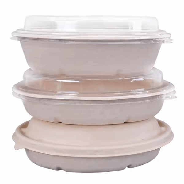 200ML 300ML Compostable Oval Bowl Disposable Bagasse Sugarcane Salad Food Container with Lid